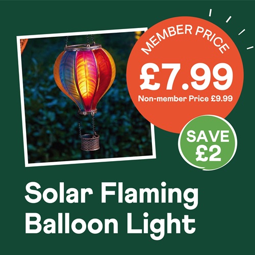 Solar Flaming Balloon Light