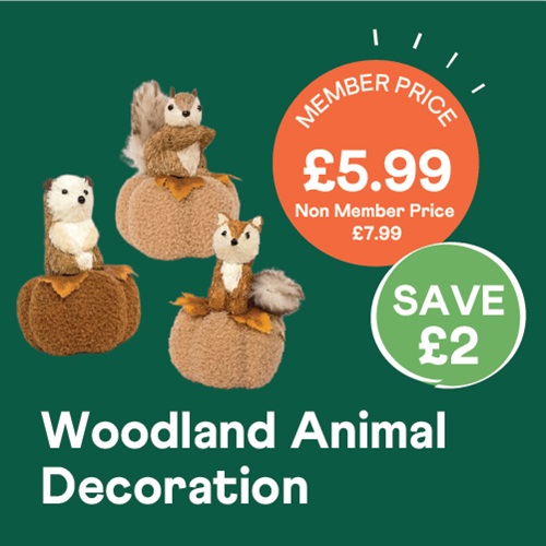 Woodland Animal Decoration