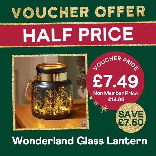 HALF PRICE – Wonderland Lantern