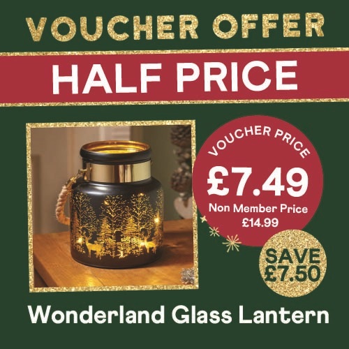 HALF PRICE – Wonderland Lantern
