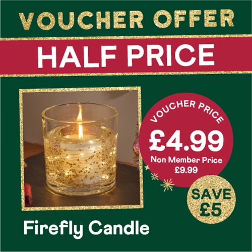 HALF PRICE – Firefly Candle